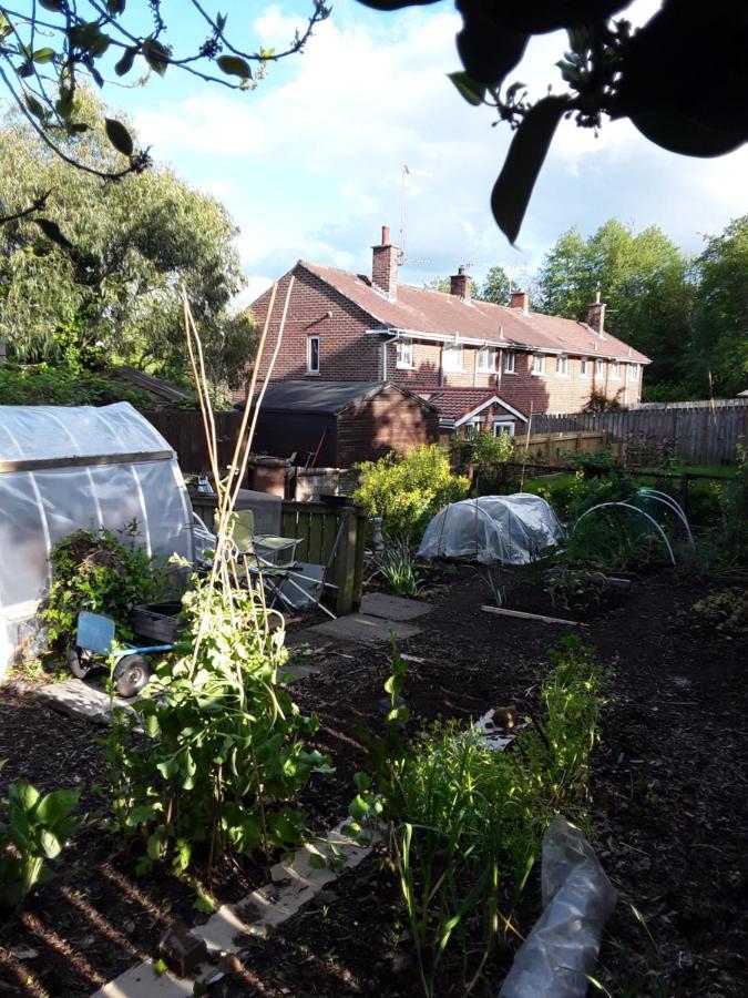 Waveney Belfast Exterior foto