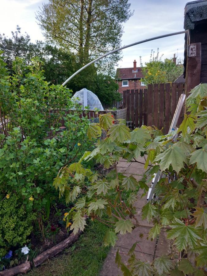 Waveney Belfast Exterior foto