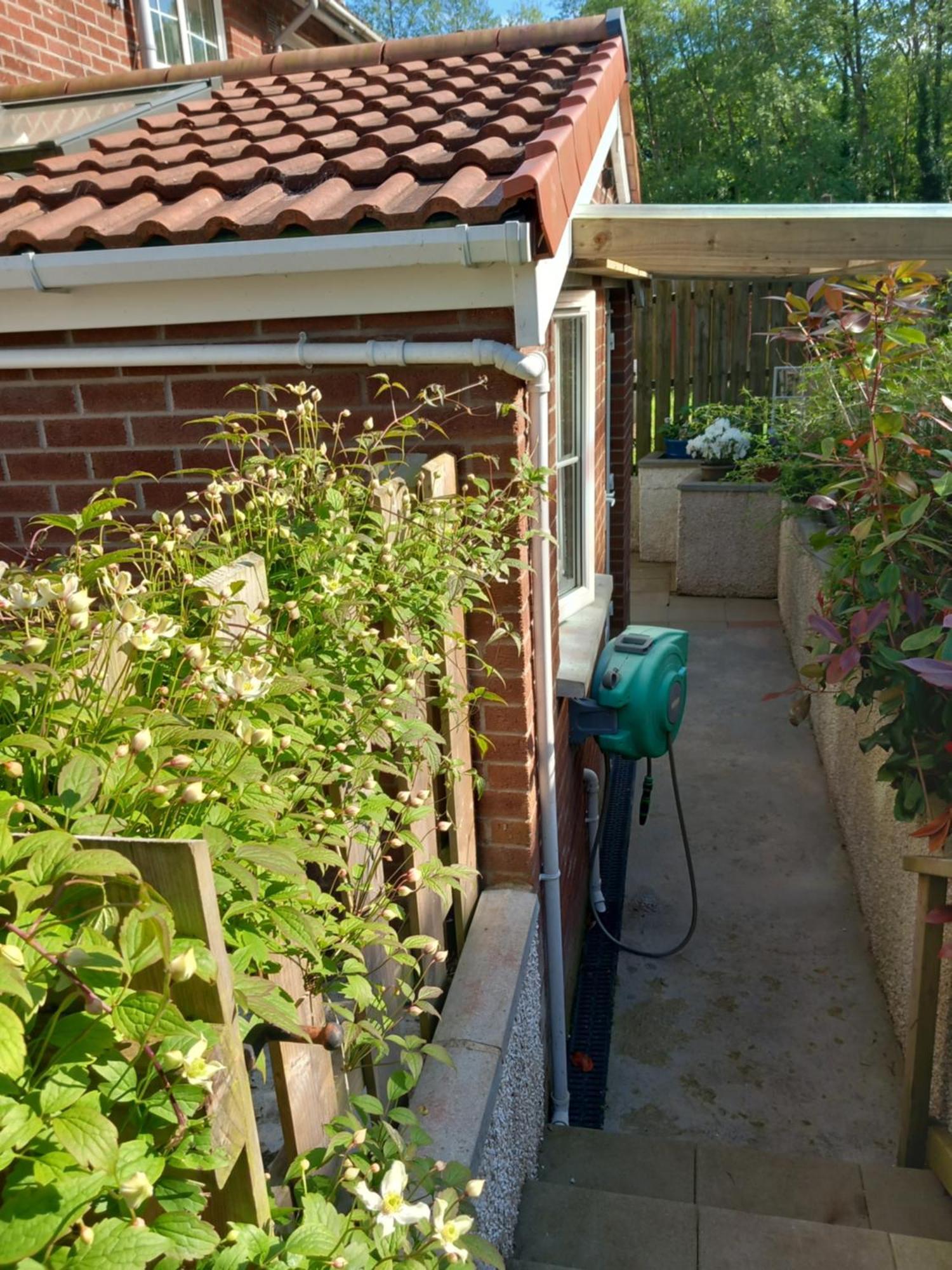 Waveney Belfast Exterior foto